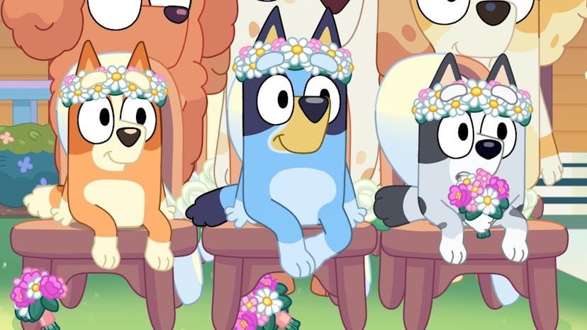 Bingo, Bluey, and Muffin, sit happily at their Aunt and Uncle's wedding.