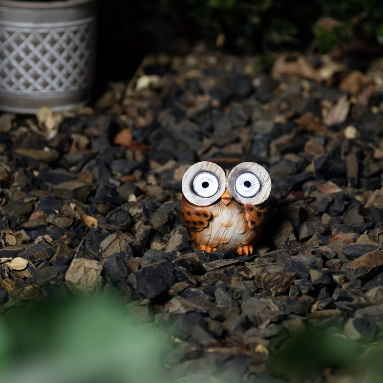 Blazin Solar Garden Owl Decoration (Set of 2)