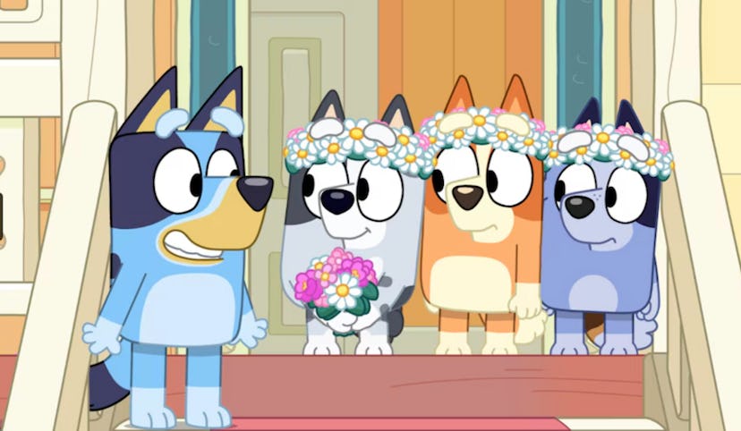 The Heeler family gets ready for a wedding in the Season 3 finale of 'Bluey.'