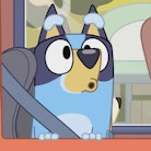 A lot changes for Heeler family in the Season 3 finale  of 'Bluey.'