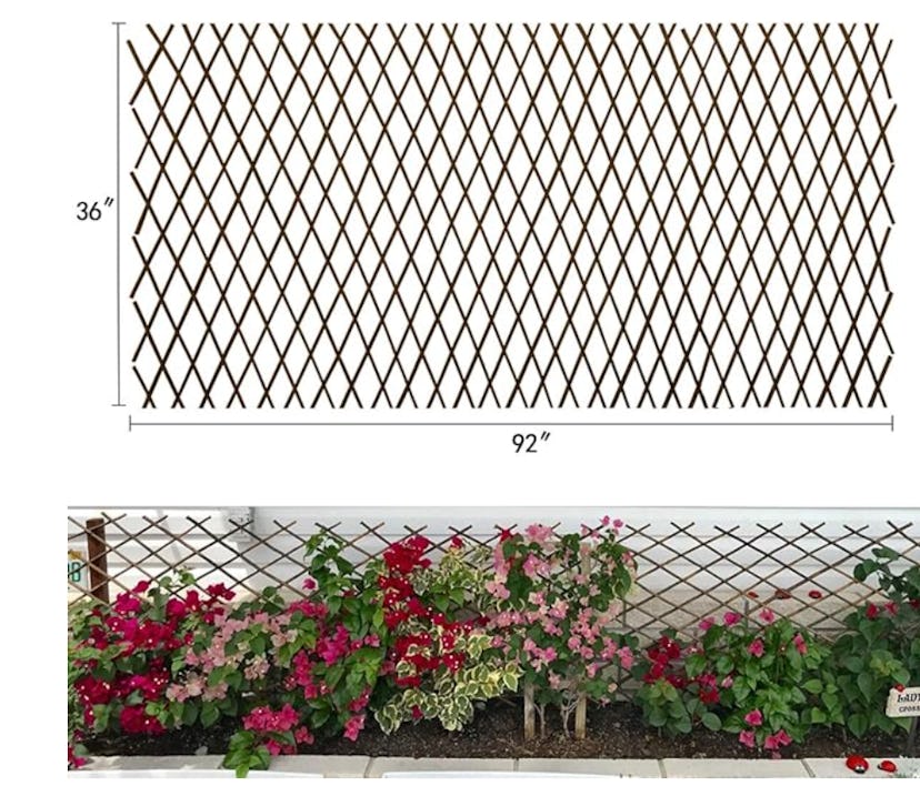 Expandable Garden Trellis