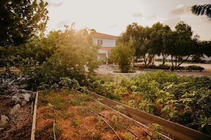 luxury farm holiday