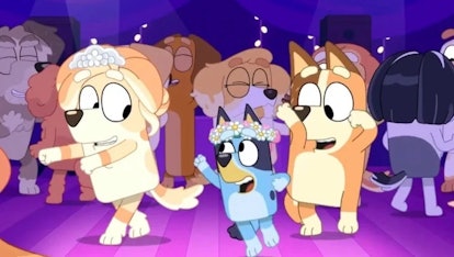 The Heeler family dances in the Season 3 finale of 'Bluey.'