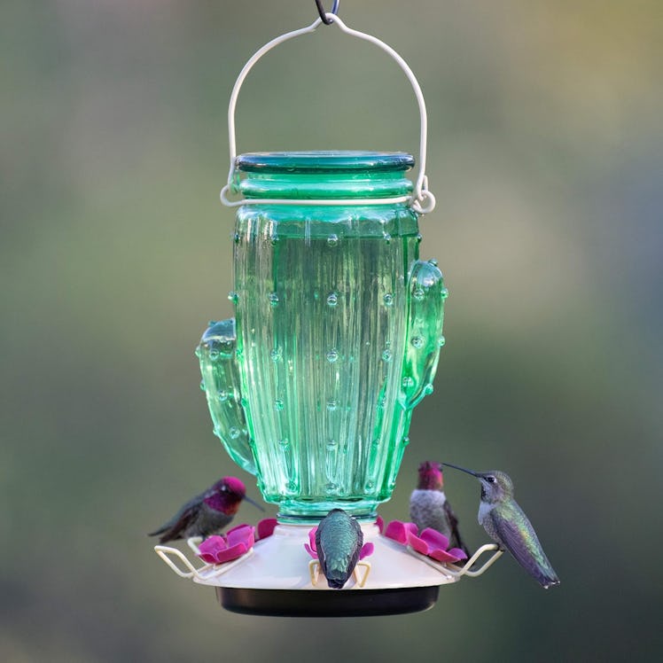 Perky-Pet Cactus Top Fill Glass Hummingbird Feeder