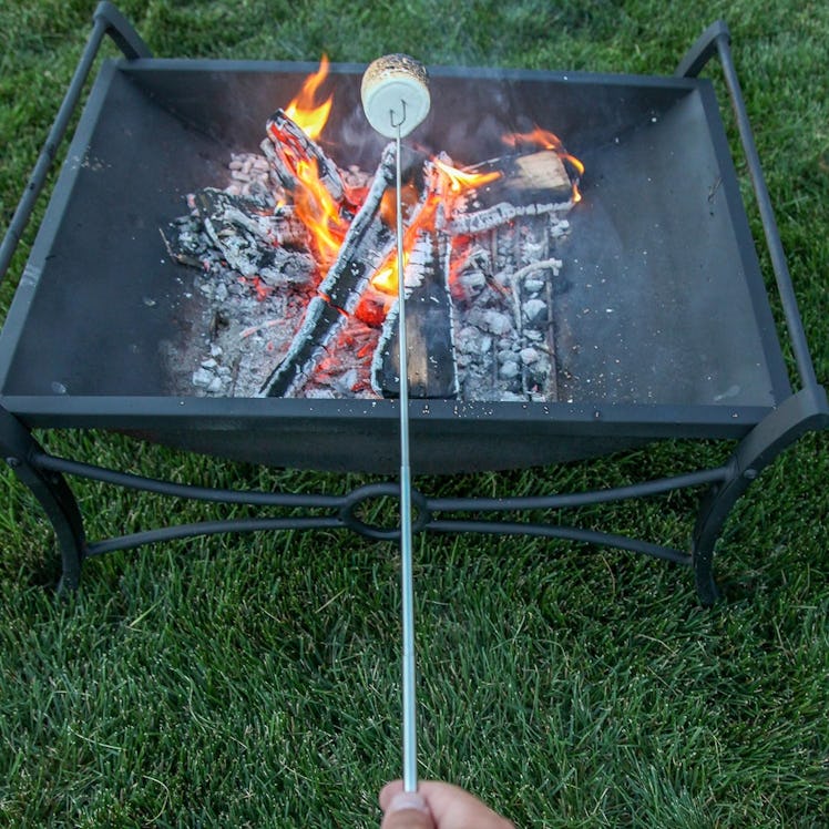 MalloMe Marshmallow Roasting Sticks (12-Pack)