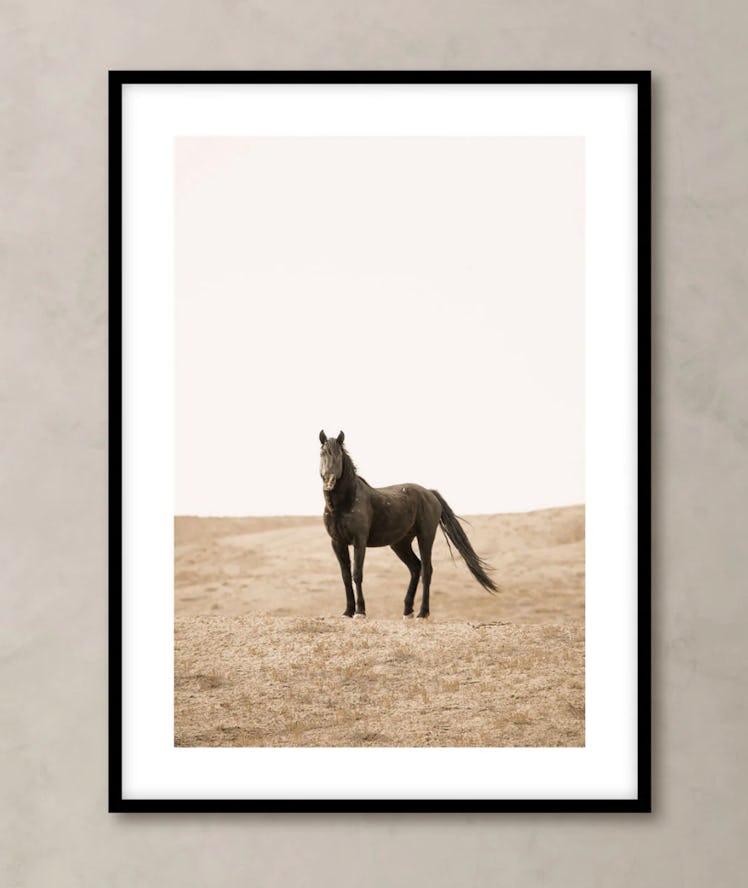 Onyx by Tyana Arviso