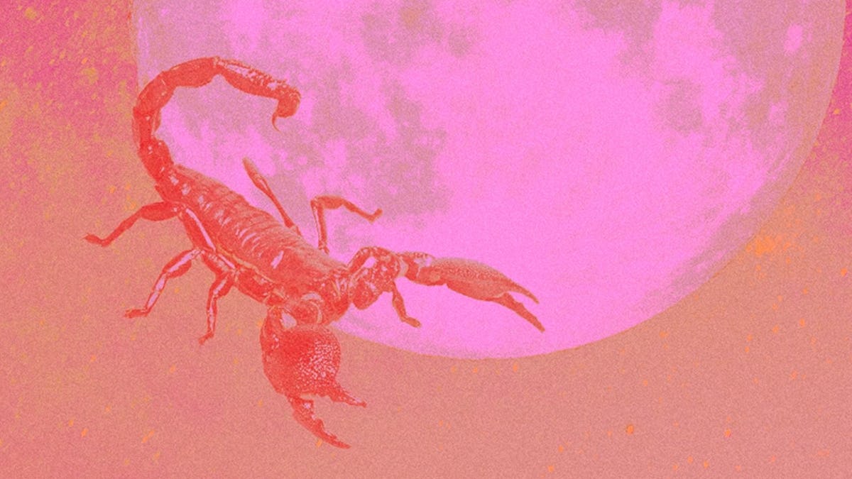 Top 5 Zodiac Signs Men Who Are Good at Flirting