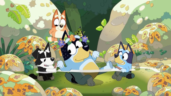 Mackenzie, Bingo, and Bluey play spa with Bandit in the creek.
