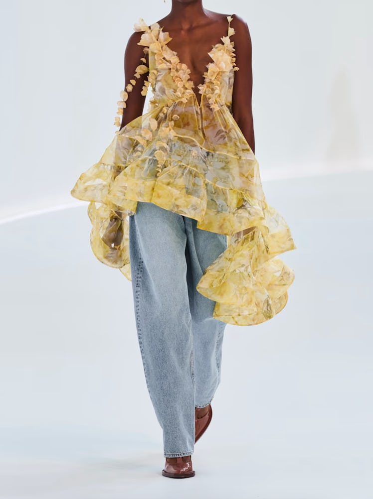 Zimmermann Harmony Appliquéd Floral-Print Silk-Organza Mini Dress