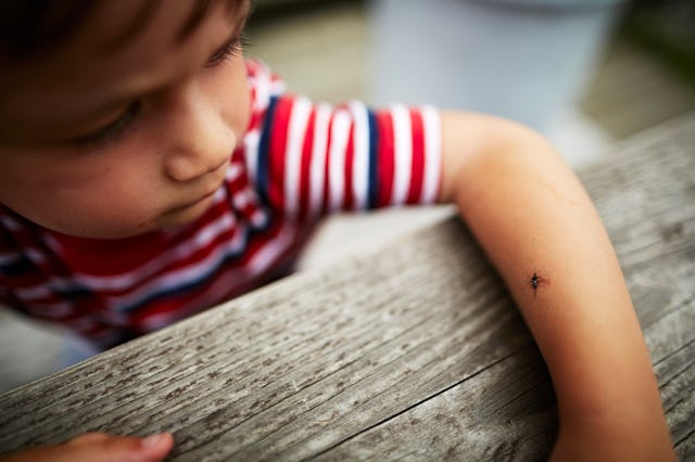 A mosquito lands on a little boy's arm.