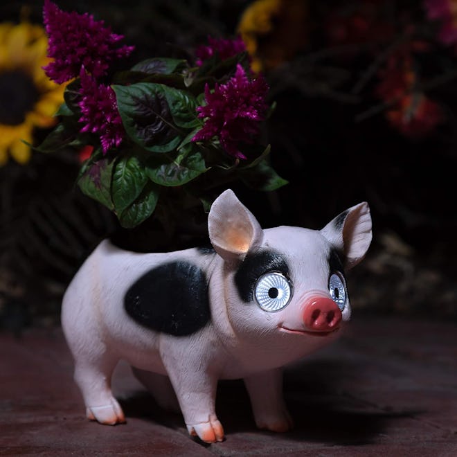 Blazin' Pig Flower Pot