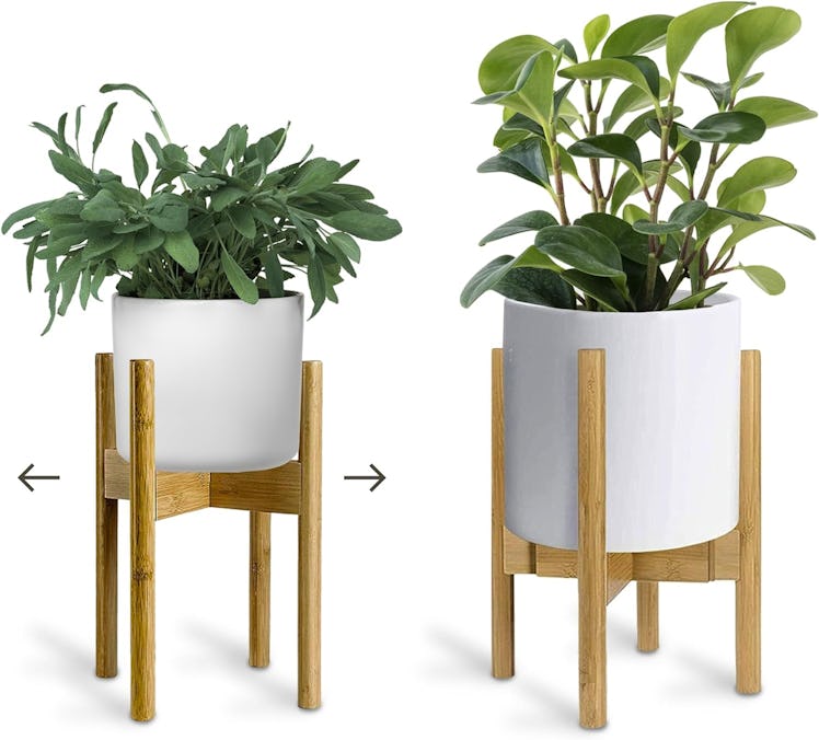 UppWell Adjustable Indoor Plant Stand 