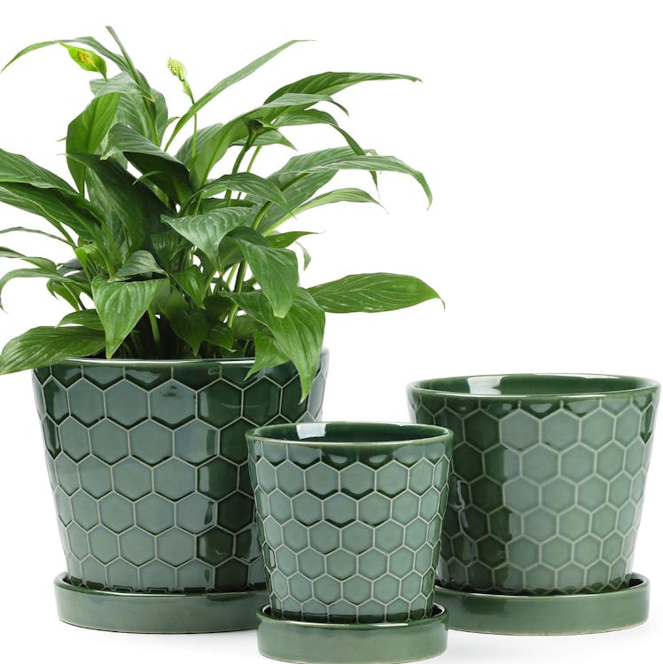 BUYMAX Ceramic Plant Pot (3-Pack)