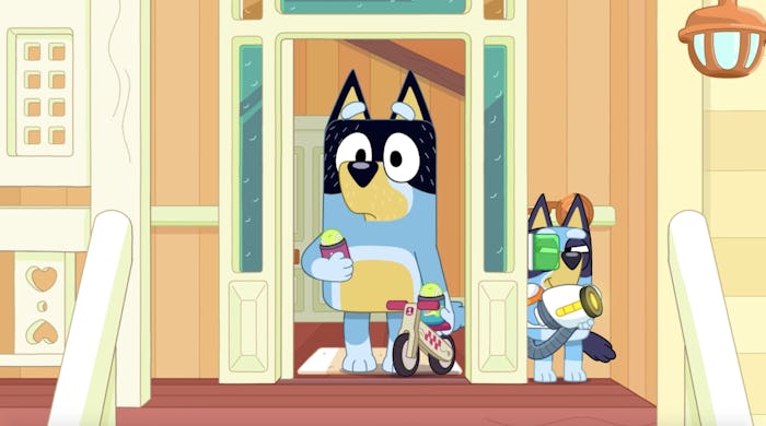 Bandit looks worried at the door while Bluey hides, waiting to shoot at him with tennis balls.