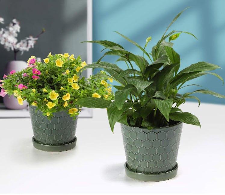 BUYMAX Ceramic Plant Pot (3-Pack)