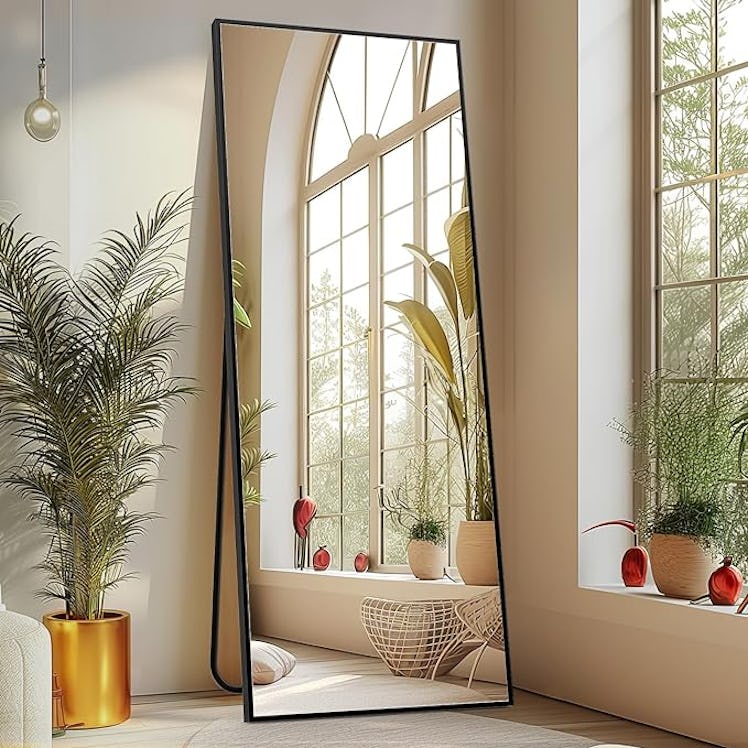 Sweetcrispy Full-Length Mirror