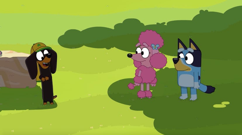 Snickers, Coco, and Bluey play "Shadowlands."