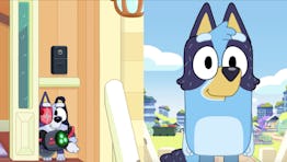 Bluey's child hiding behind a door and adult Bluey.