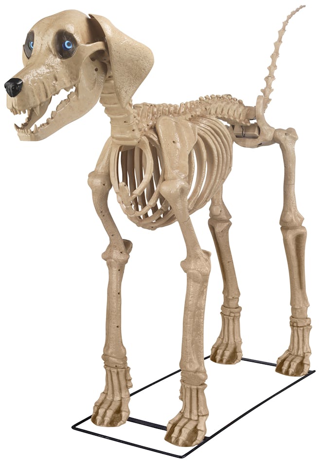 Home Accents Holiday 5-Ft. Skeleton Dog
