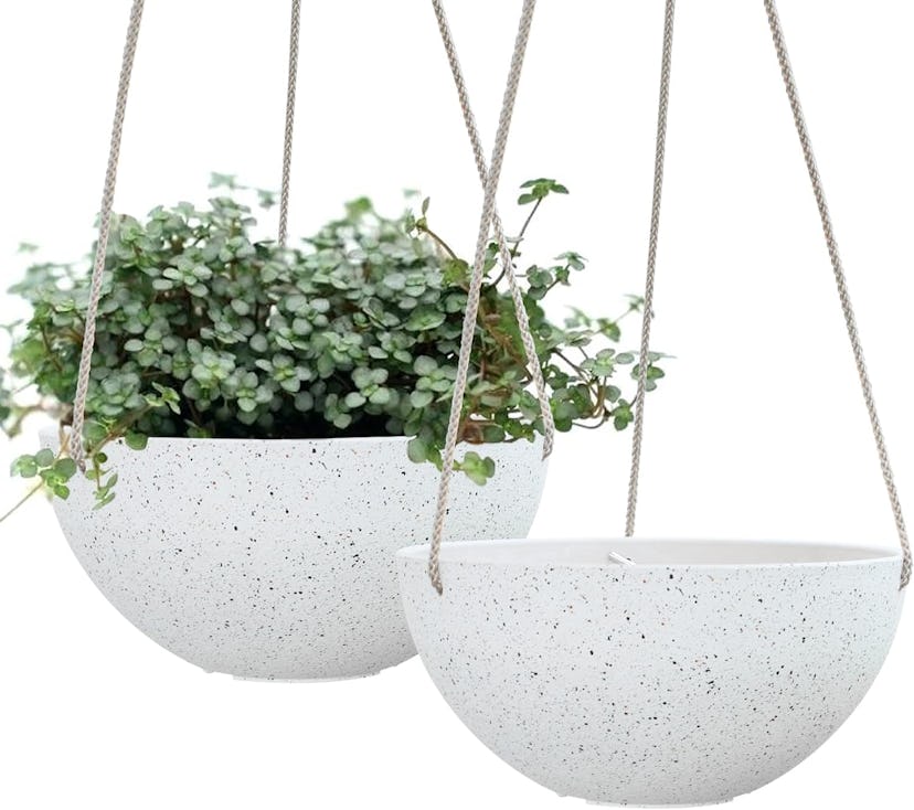 LA Jolie Muse Hanging Planters (Set Of 2)