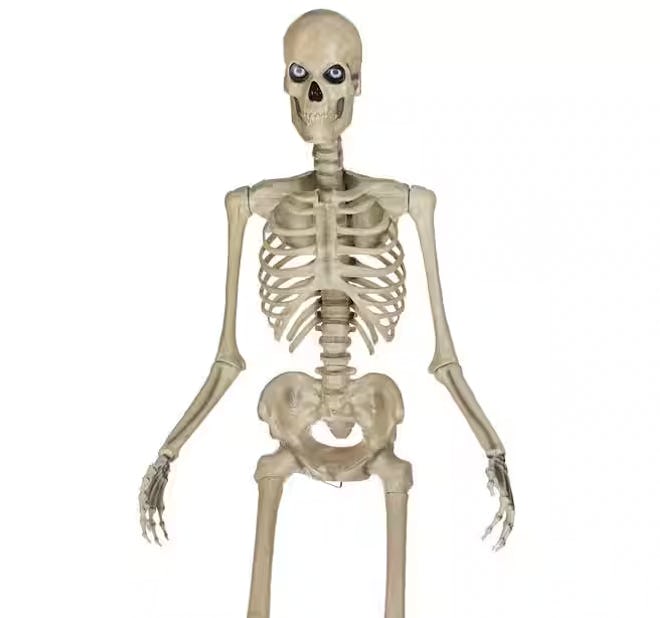 Home Accents Holiday 12-Foot Skelly