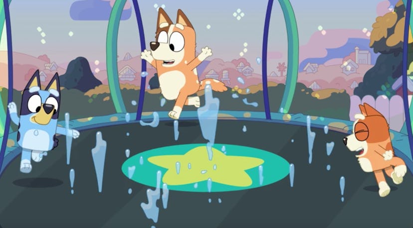 Bluey, Bingo, and Chilli run around their trampoline with a sprinkler underneath