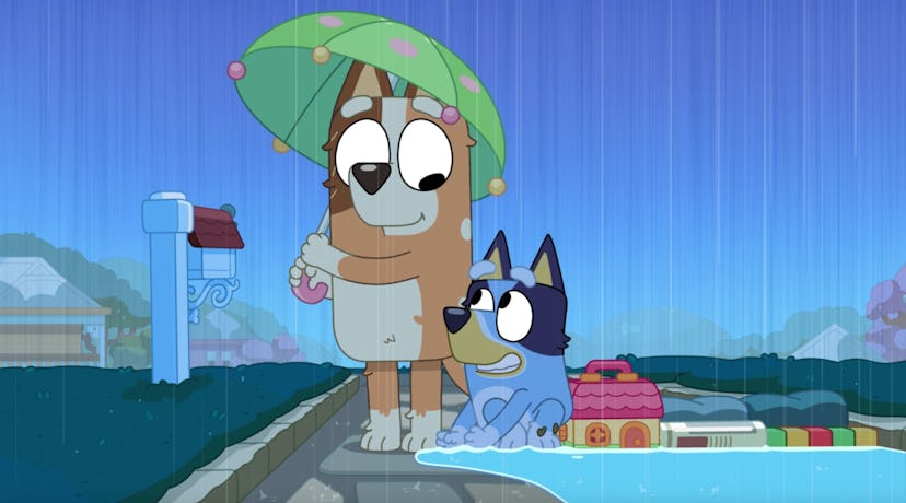 Chilli stands with an umbrella while Bluey builds a dam in the driveway.