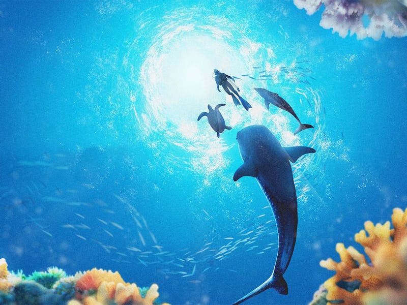 key art from Endless Ocean Luminous