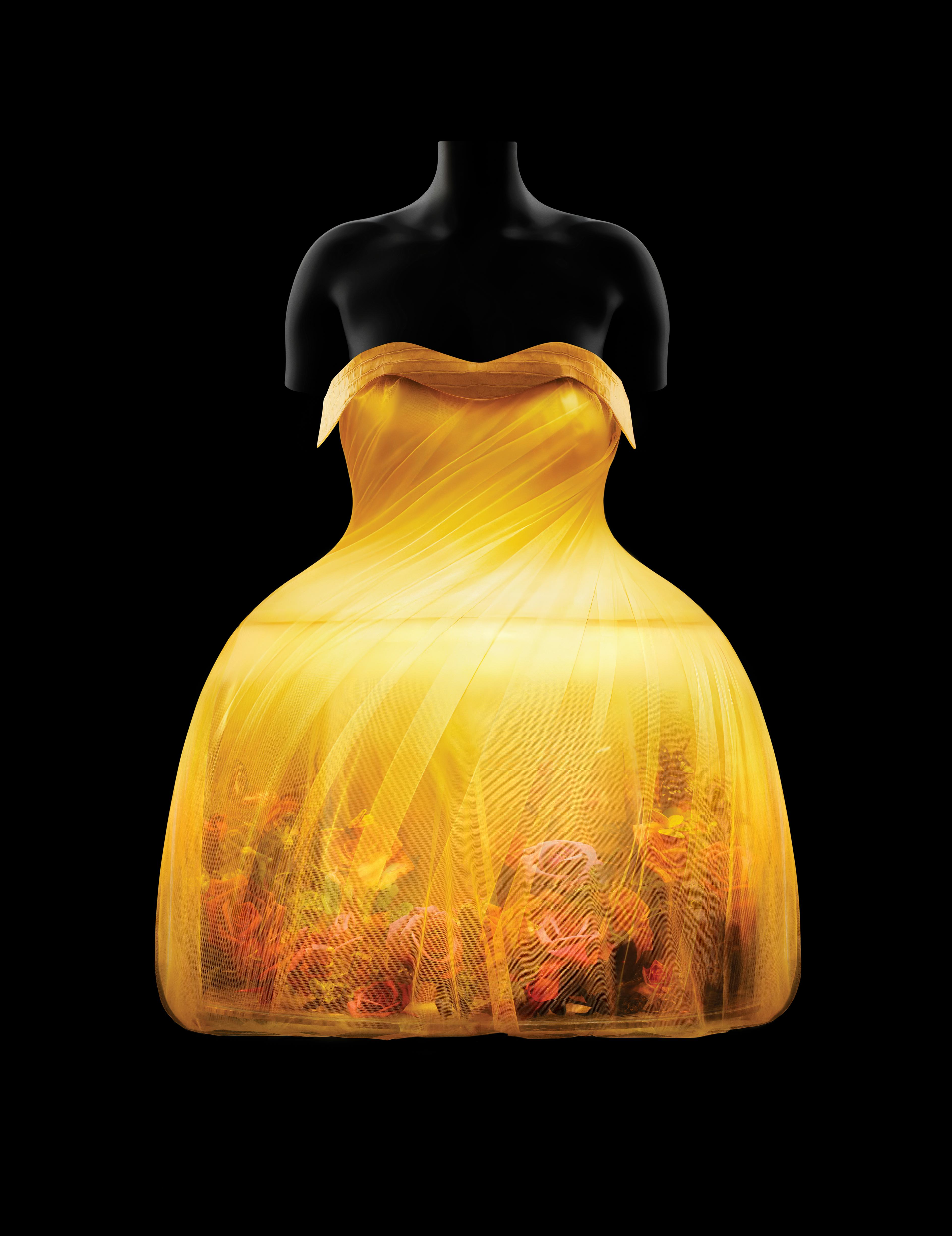 The Met Gala’s “Sleeping Beauties” 2024 Exhibition Spotlights Conservators WebTimes