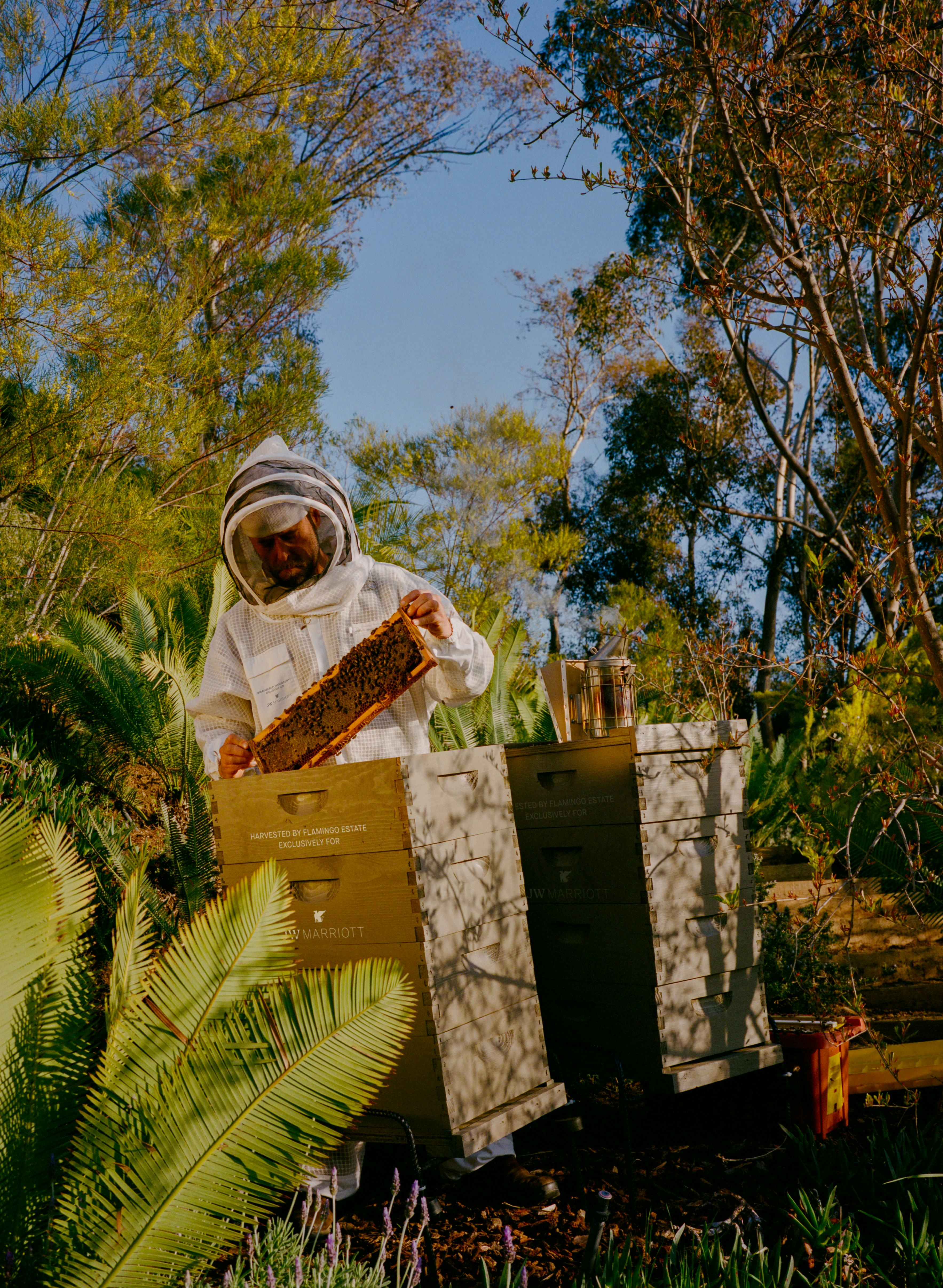 A beekeeper at Flamingo Estate in Los Angeles.
