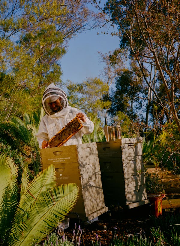A beekeeper at Flamingo Estate in Los Angeles.