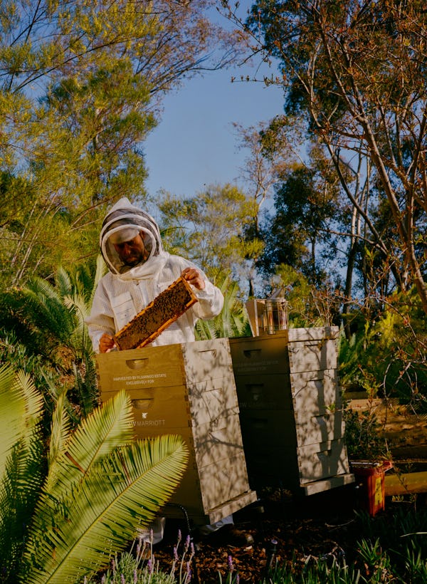 A beekeeper at Flamingo Estate in Los Angeles.