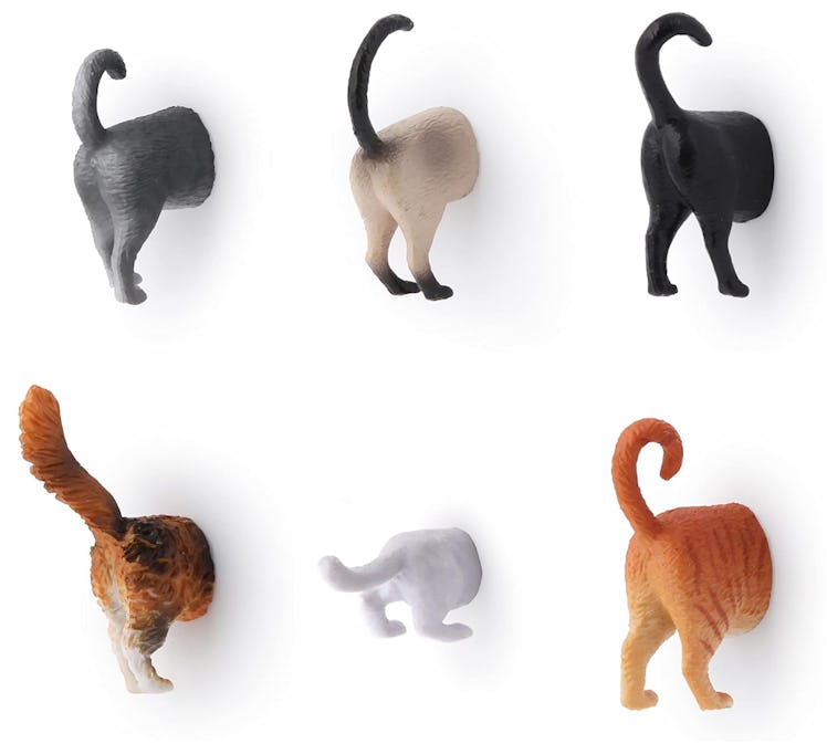 Kikkerland Cat Butt Magnets (6-Pack)