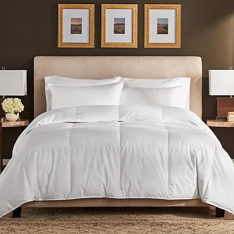 Member's Mark 400-Thread-Count Down Comforter