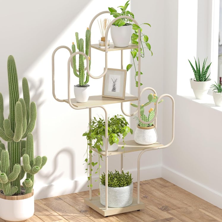 Tikea Cactus Plant Stand