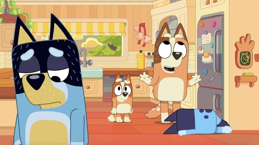 In the kitchen, Chilli looks cheerful while Bluey, Bingo, and Bandit all look lethargic.