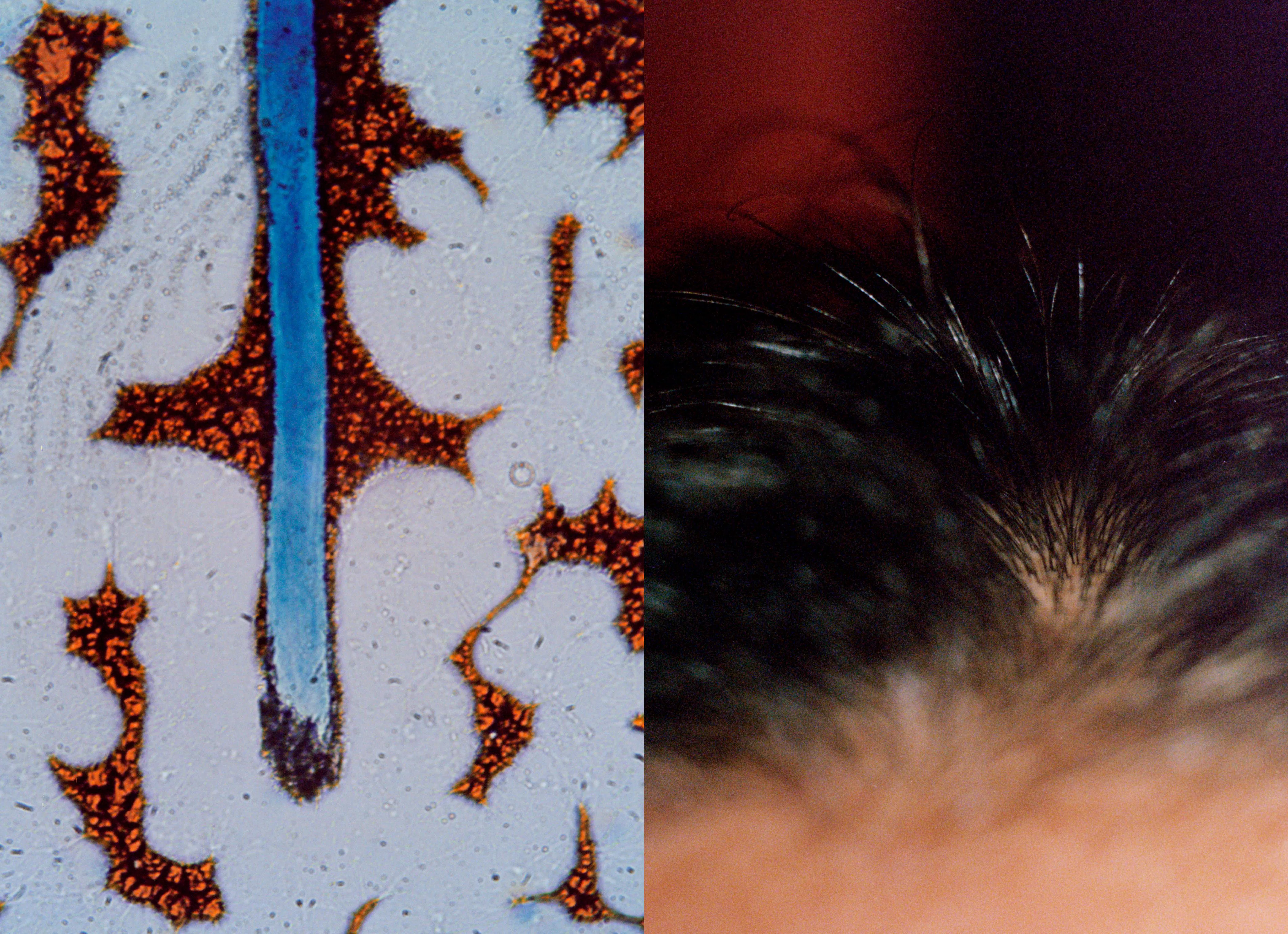 Frank Lebon's 'One Blood' Photo Book Pairs Portraiture With Platelets