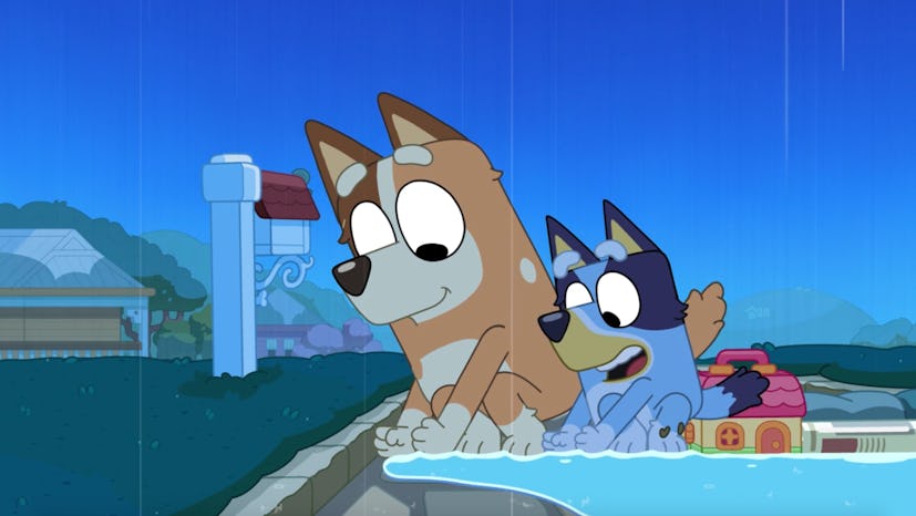 Chilli and Bluey complete a dam together.