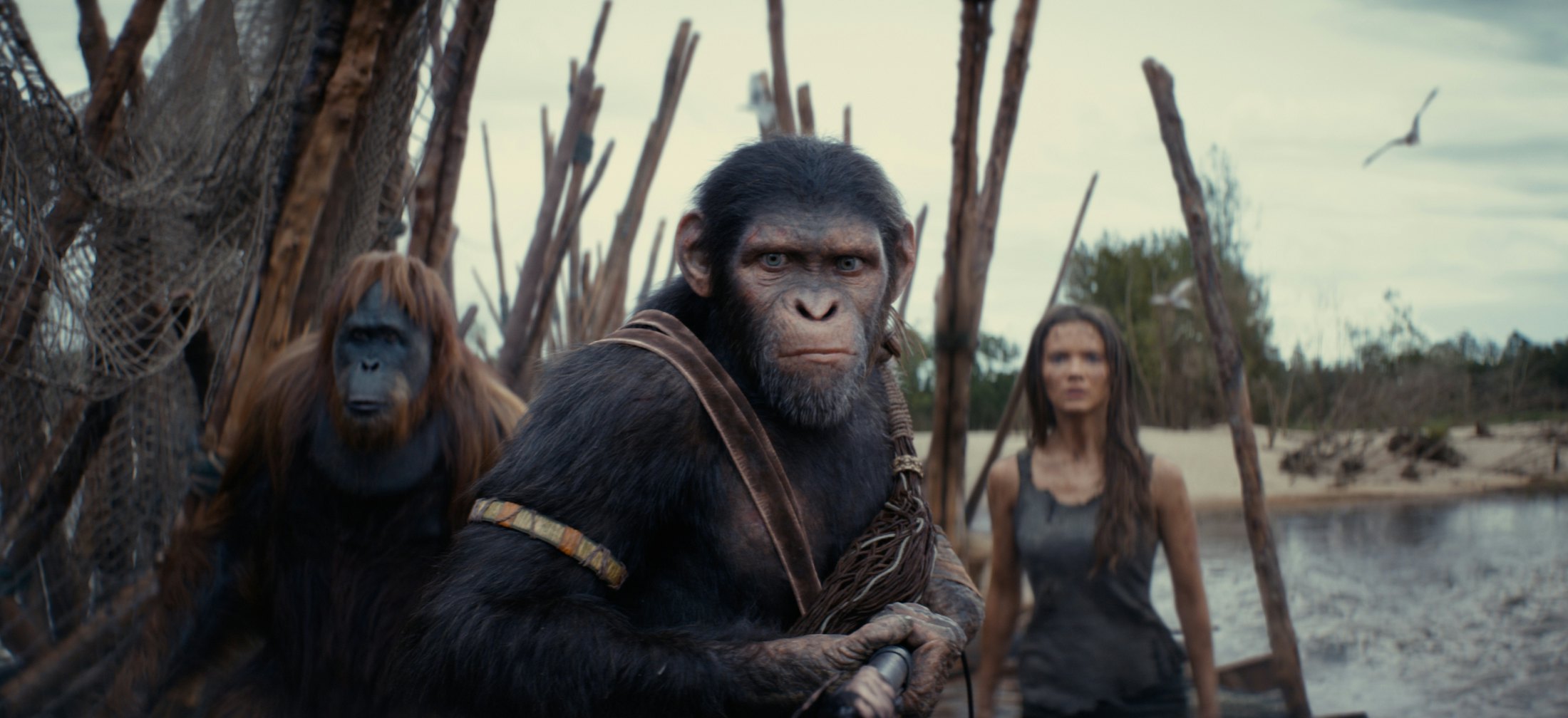 'Kingdom of the Planet of Apes' Blu-Ray Release Will Feature a Historic First