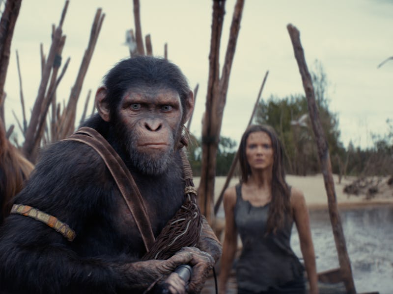 Kingdom of the Planet of the Apes