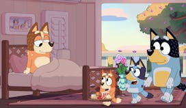 Bingo, Bluey, and Bandit bring Chilli breakfast in bed in "The Show."
