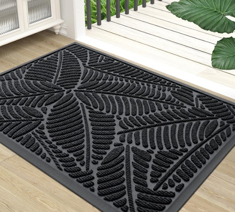 Colorxy Waterproof Doormat