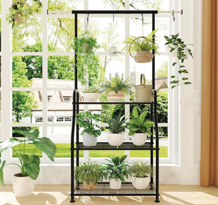 Simple Trending Indoor/Outdoor Plant Stand