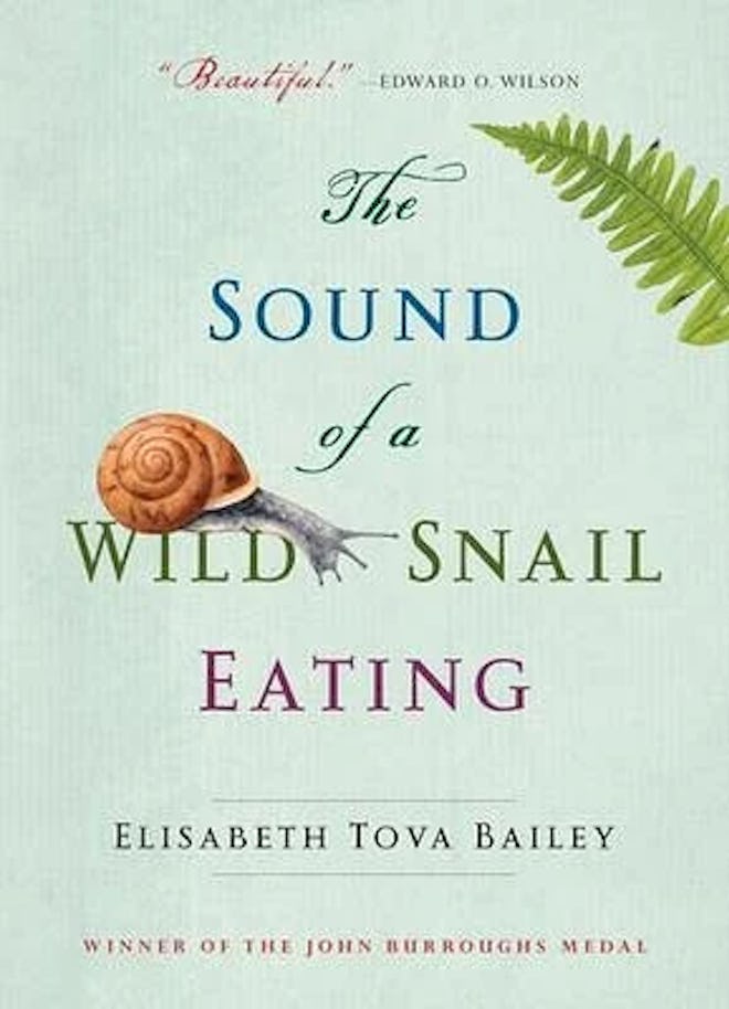 Cover of ‘The Sound of a Wild Snail Eating’ by Tova Bailey.