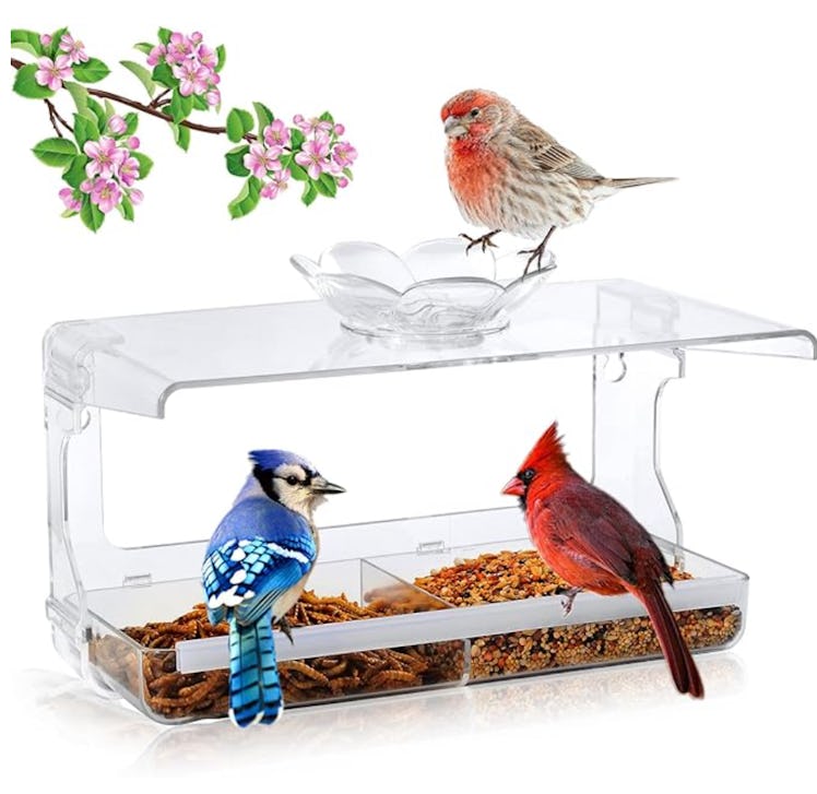 WENMIXER Bird Feeder