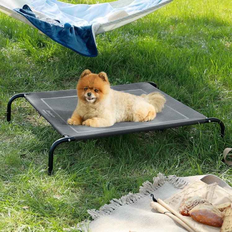 Bedsure Elevated Outdoor Dog Bed