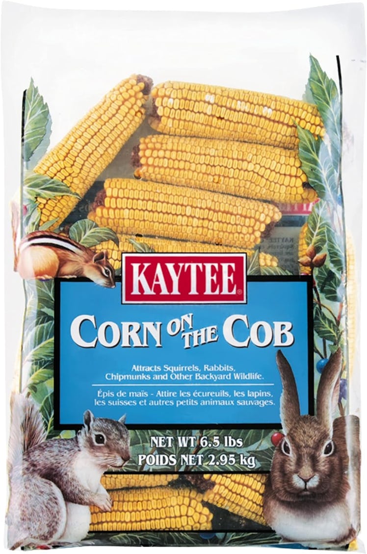 Kaytee Corn On The Cob Food For Wild Squirrels