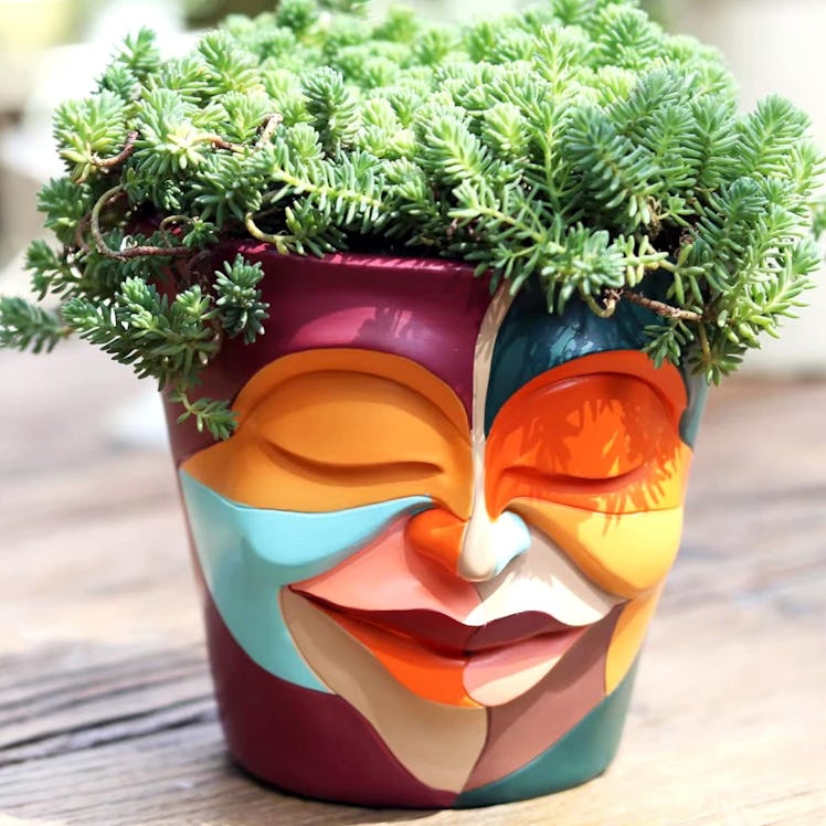 GUGUGO Abstract Rainbow Head Planter