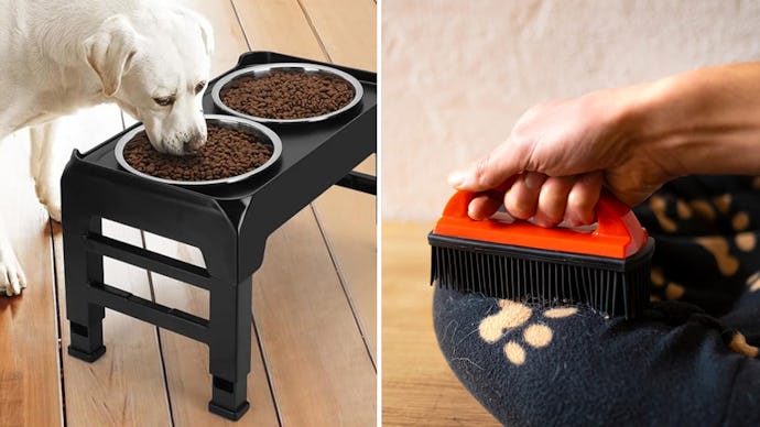 40 things for dogs trending on Amazon that are sick as hell