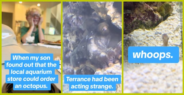A family has gone viral for sharing their story of getting a pet octopus.